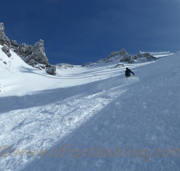 P1120588 (1) P1120588 (1)