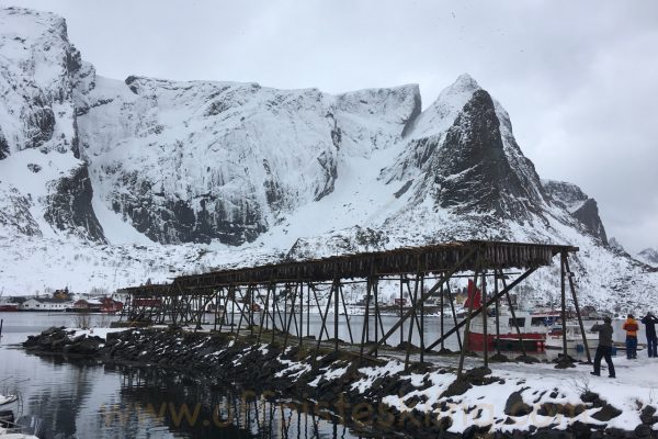 lofoten-week-1-2019-7